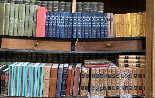 bibliothèque de libres reliure cuir et autres . XX siècle .