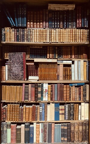 ensemble d'une bibliothèque de libres   reliure cuir et autres    . XX siècle.