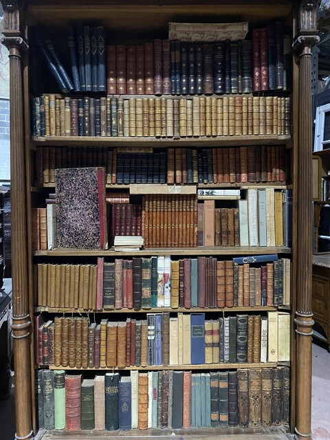 ensemble d'une bibliothèque de libres   reliure cuir et autres    . XX siècle.