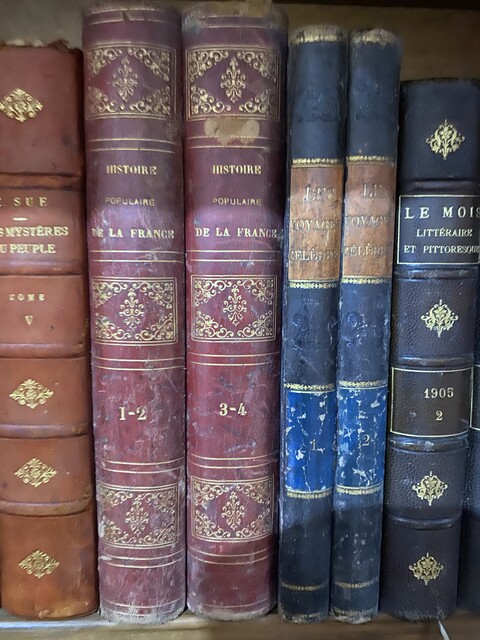 ensemble d'une bibliothèque de libres   reliure cuir et autres    . XX siècle.