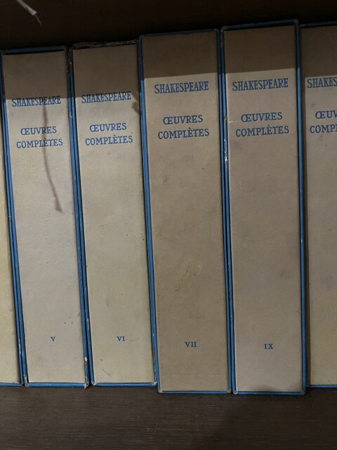 ensemble d'une bibliothèque de libres   reliure cuir et autres    . XX siècle.