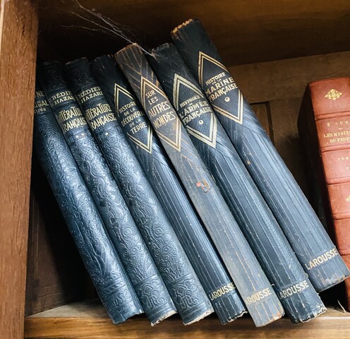 ensemble d'une bibliothèque de libres   reliure cuir et autres    . XX siècle.