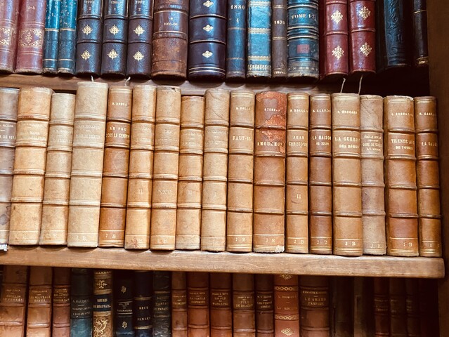 ensemble d'une bibliothèque de libres   reliure cuir et autres    . XX siècle.
