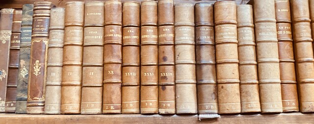 ensemble d'une bibliothèque de libres   reliure cuir et autres    . XX siècle.