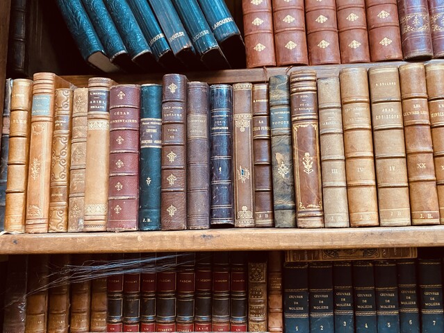 ensemble d'une bibliothèque de libres   reliure cuir et autres    . XX siècle.