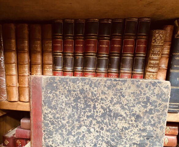 ensemble d'une bibliothèque de libres   reliure cuir et autres    . XX siècle.