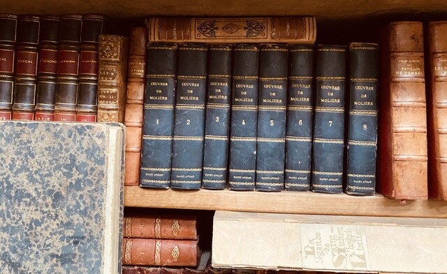 ensemble d'une bibliothèque de libres   reliure cuir et autres    . XX siècle.