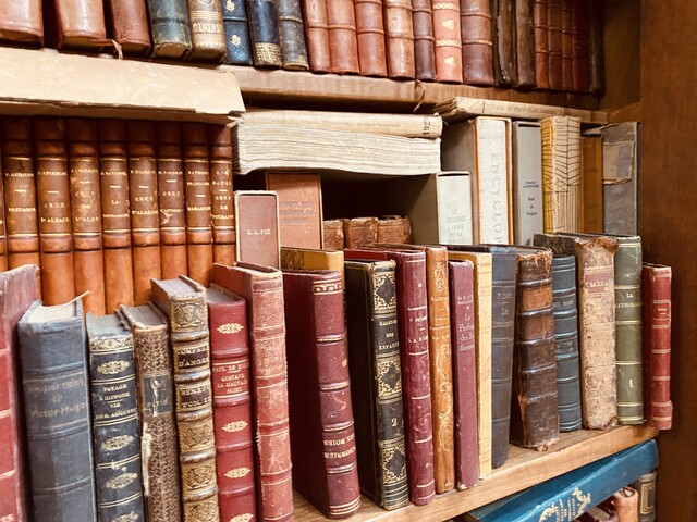ensemble d'une bibliothèque de libres   reliure cuir et autres    . XX siècle.