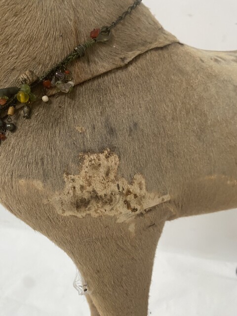 jouet d'enfant cheval de bois recouvrement tissus manque important . XX siècle .