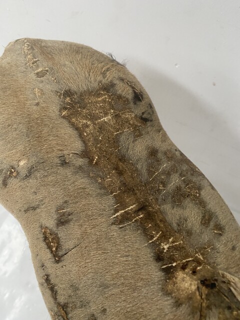 jouet d'enfant cheval de bois recouvrement tissus manque important . XX siècle .