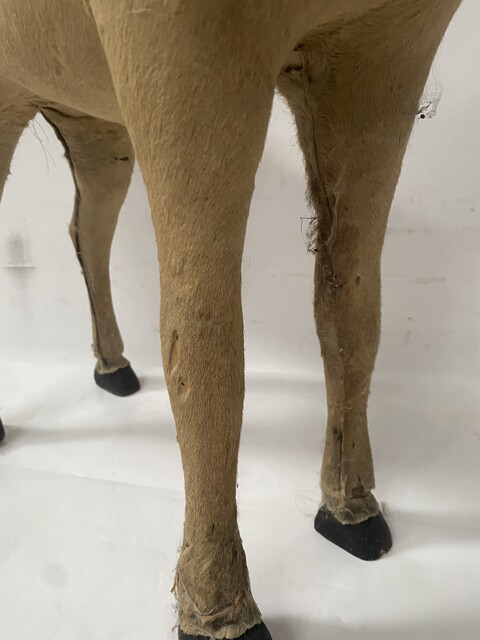 jouet d'enfant cheval de bois recouvrement tissus manque important . XX siècle .