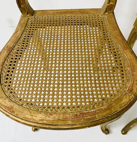 paire de chaises louis XVI en bois doré finement sculptée . XX siècle .