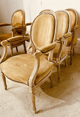suite de six fauteuils à médaillon style Louis XVI bois patiné . XIX siècle .
