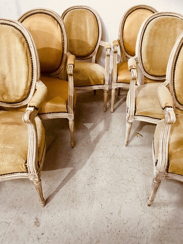 suite de six fauteuils à médaillon style Louis XVI bois patiné . XIX siècle .