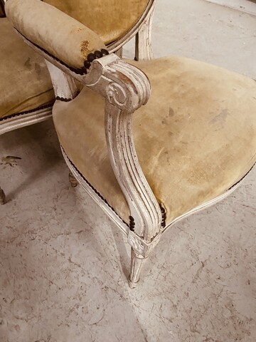 suite de six fauteuils à médaillon style Louis XVI bois patiné . XIX siècle .